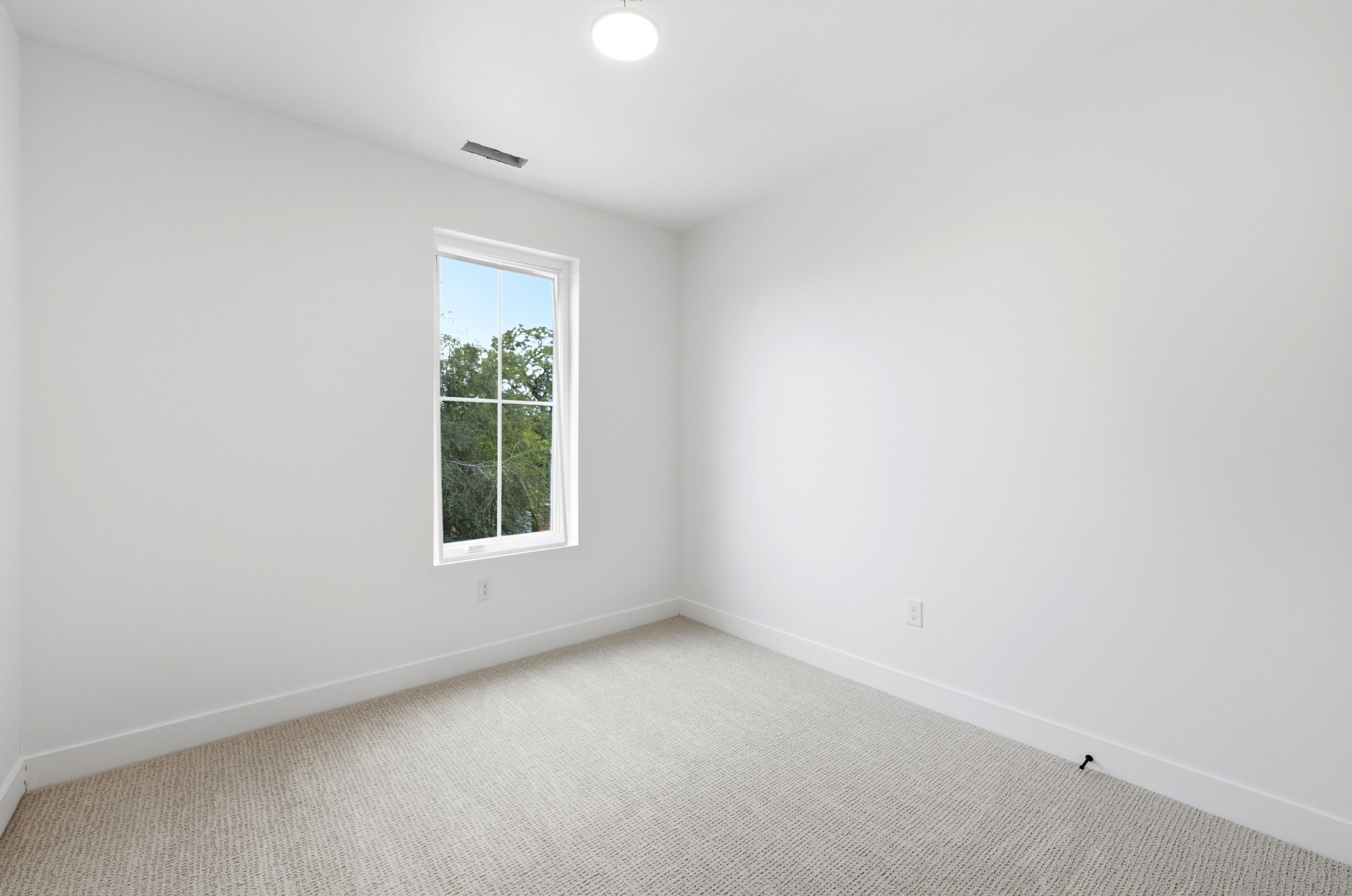 Crisp white walls define this room, featuring a double-hung window, light-colored textured carpet, and white baseboards