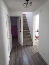 Stairs featuring wood finished floors and crown molding
