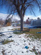 Snowy yard with a storage unit and a trampoline
