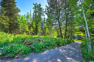 View of dirt / gravel road with a wooded view