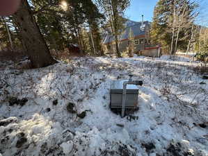 View of snowy yard