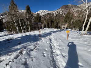 View of mountain backdrop with a forest