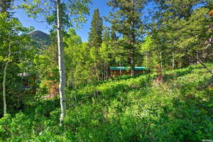 View of yard featuring a forest view