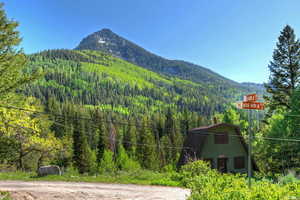 Mountain view featuring a forest