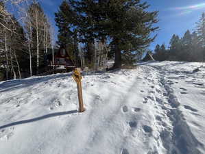 Yard layered in snow featuring a wooden deck