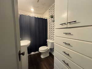 Bathroom featuring vanity, curtained shower, and dark wood-style floors