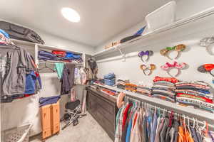 Spacious closet featuring light carpet