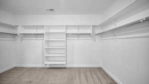 Walk in closet featuring light carpet