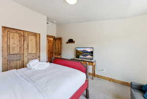 Bedroom featuring carpet floors and a closet