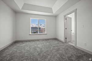Unfurnished room with light colored carpet and a raised ceiling