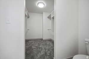 Spacious closet featuring dark colored carpet