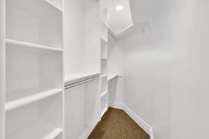 Spacious closet with dark colored carpet