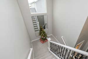 Stairway with carpet and baseboards
