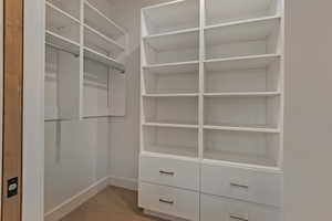 Walk in closet featuring light carpet