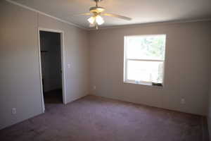 Unfurnished bedroom featuring ornamental molding, a spacious closet, carpet, and a ceiling fan