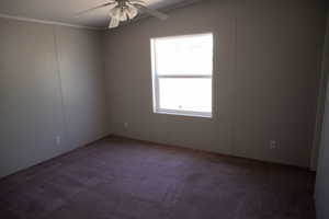 Carpeted spare room featuring a decorative wall, ceiling fan, and ornamental molding
