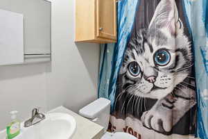 Bathroom featuring a shower with curtain and vanity