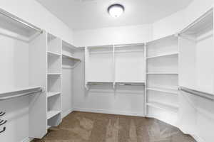 Spacious closet featuring carpet