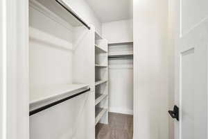 Spacious closet featuring dark carpet