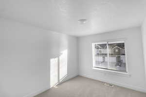 Unfurnished room featuring light carpet and a textured ceiling