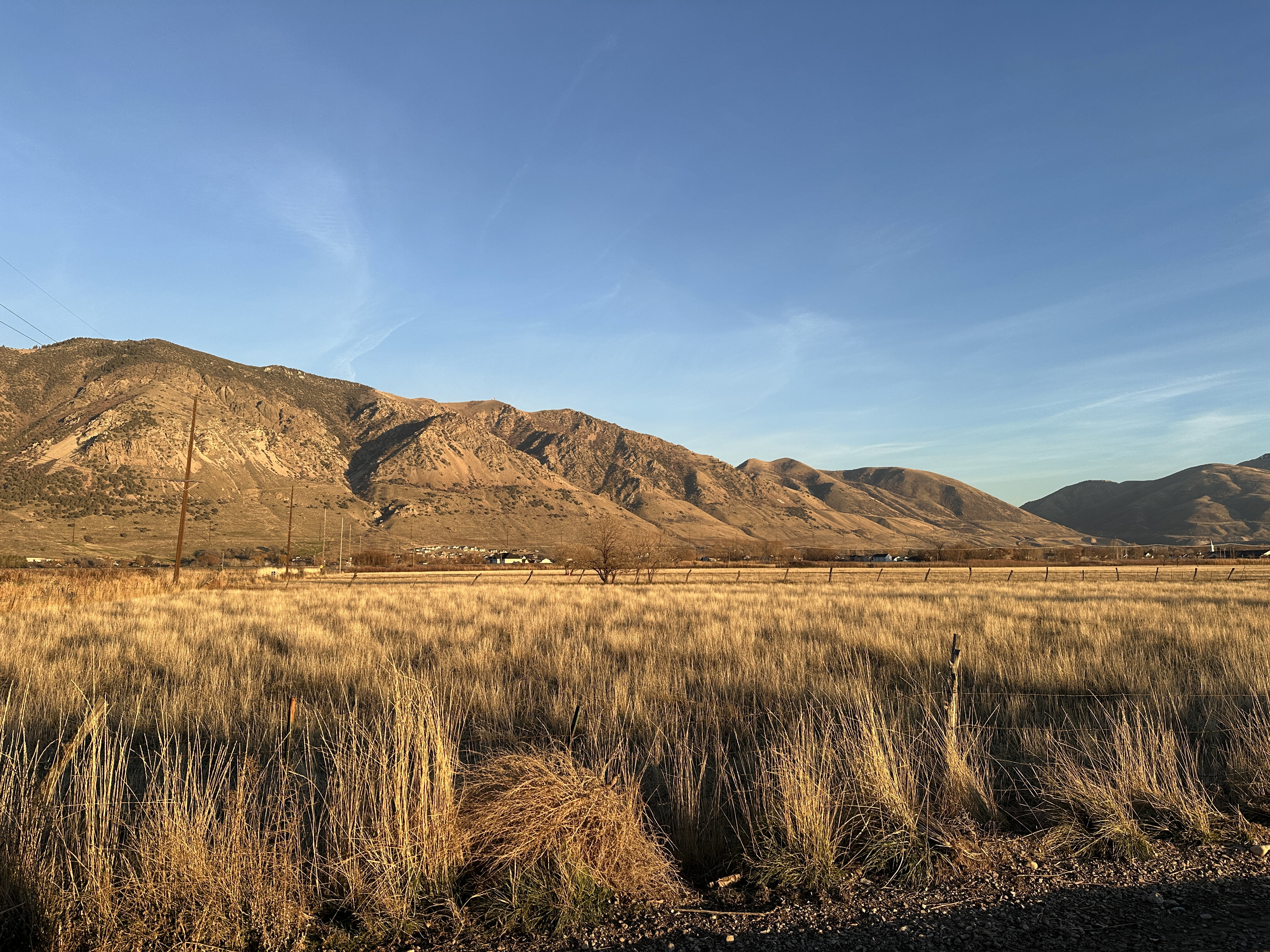 Pasture grass with irrigation and stock water rights