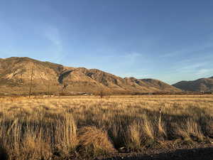 Pasture grass with irrigation and stock water rights