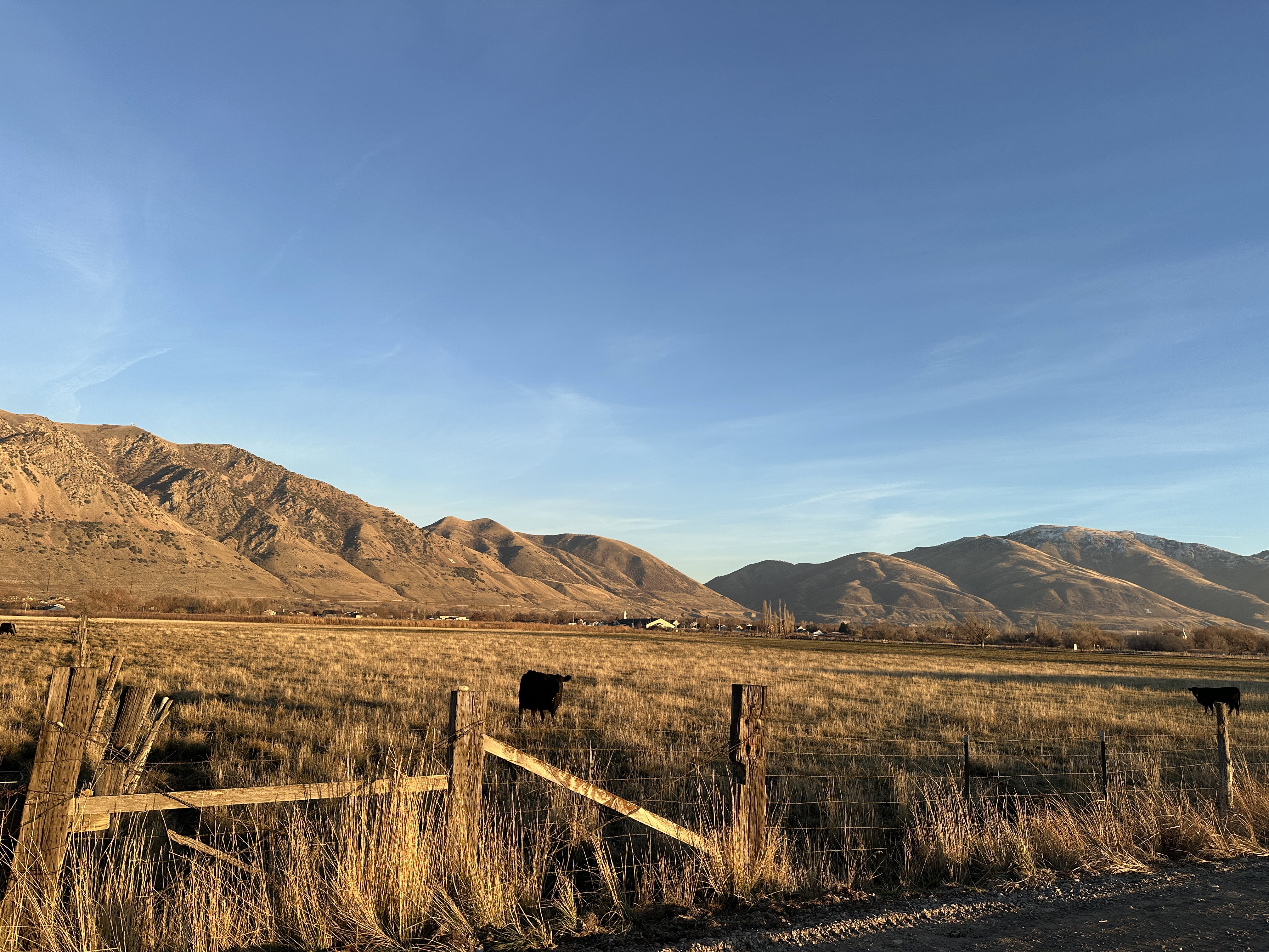 The property is fenced around the exterior.