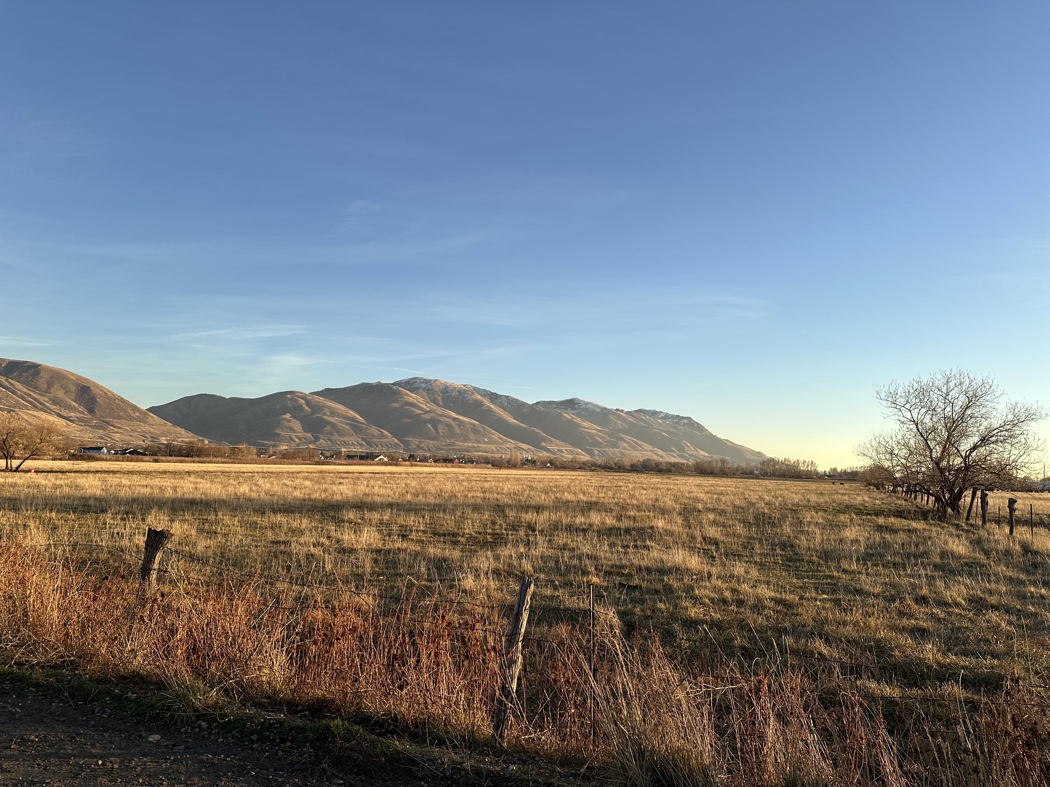 View toward the south from 1500 North