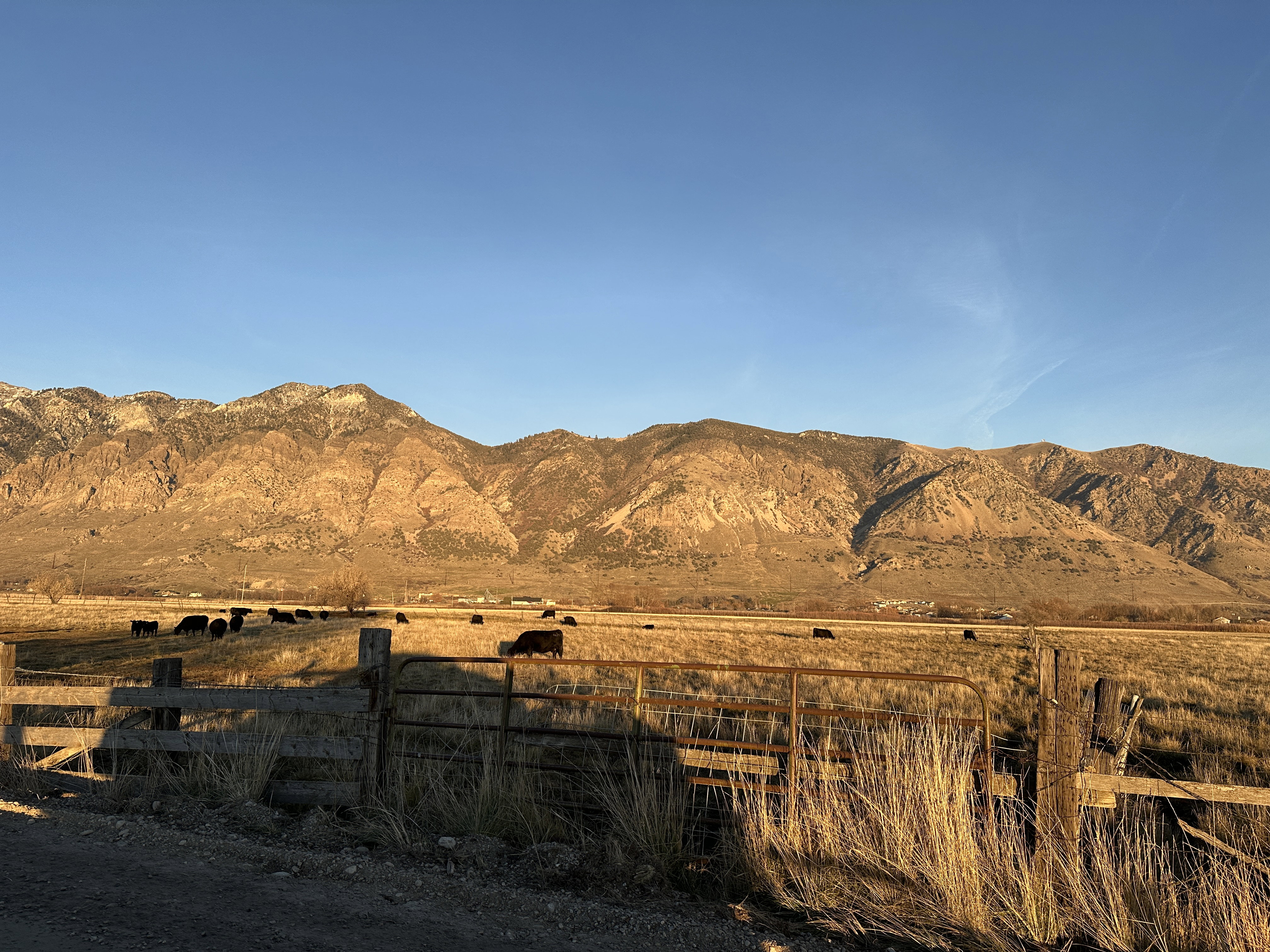 Gate access on 1000 West