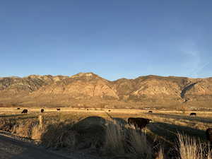 Located in the county and currently zoned A20