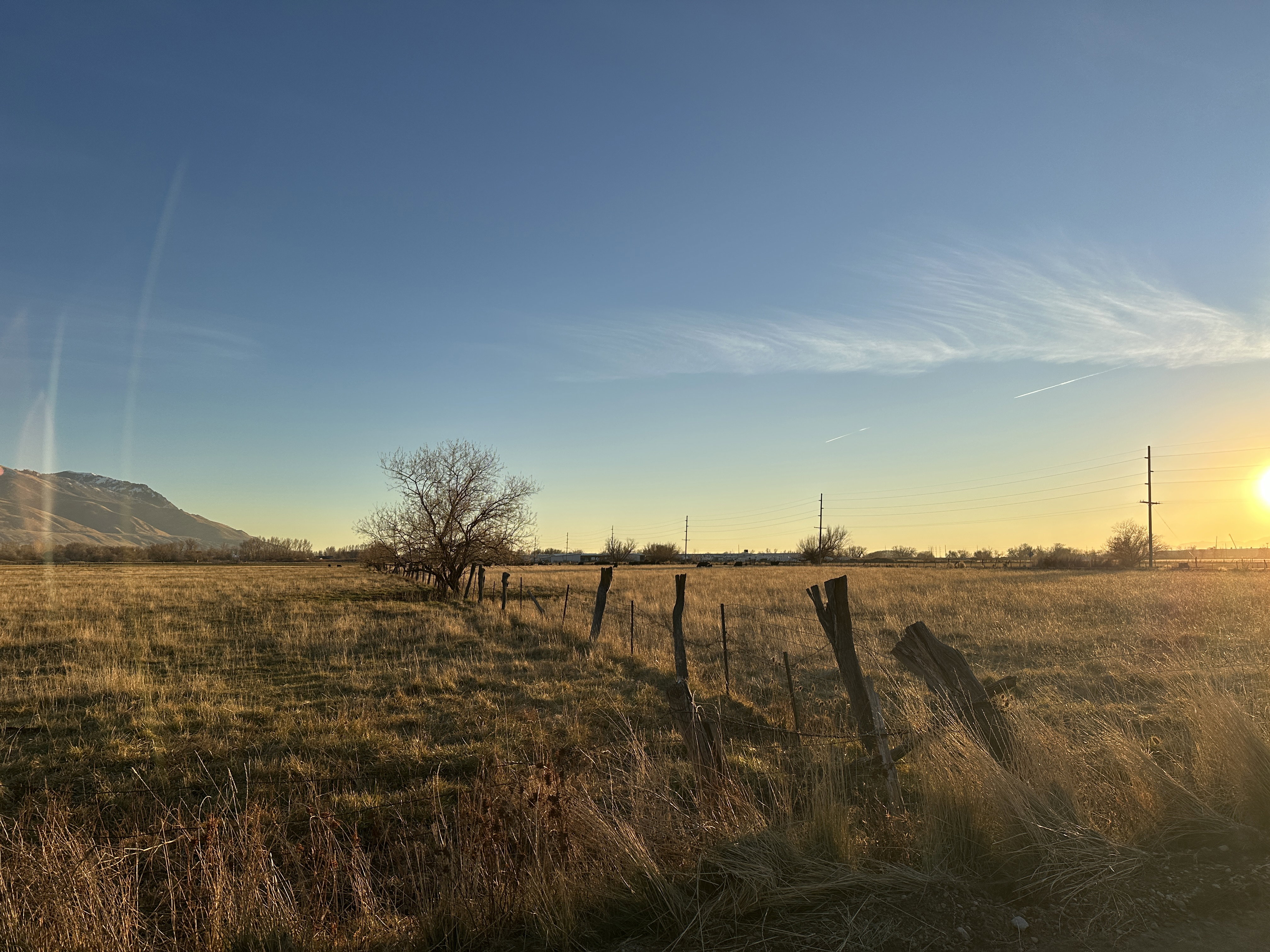 Fence is the border of the one parcel owned by another entity, also for sale