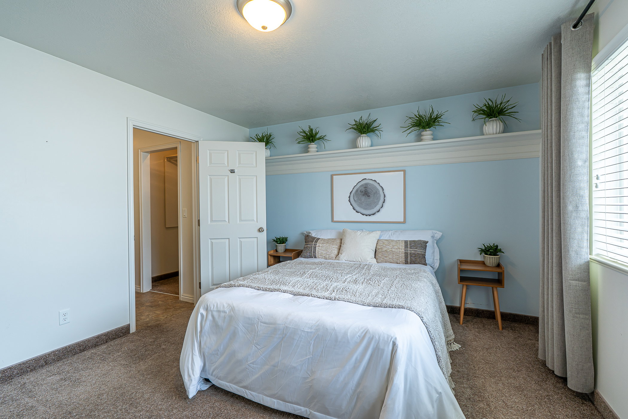 Carpeted bedroom featuring multiple windows