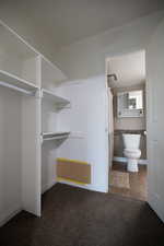 Walk in closet with dark colored carpet