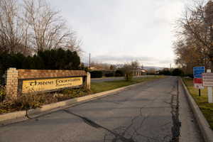 View of asphalt street with curbs