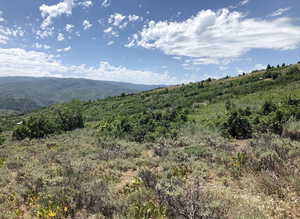 View of mountain background