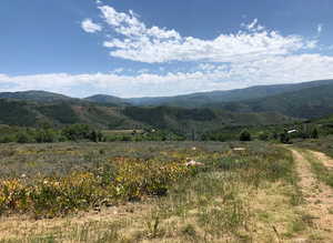 View of mountain background
