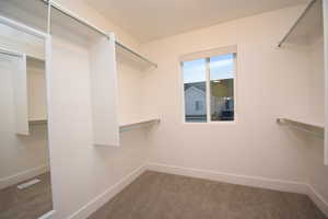 Walk in closet with carpet