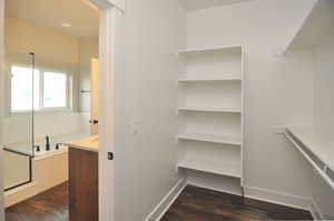 Walk in closet with dark wood finished floors