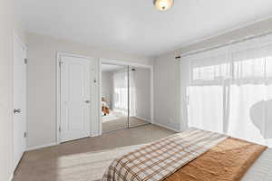 Bedroom featuring a closet, multiple windows, and light carpet