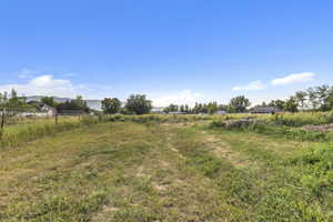 View of yard with a view of rural / pastoral area and a mountain view