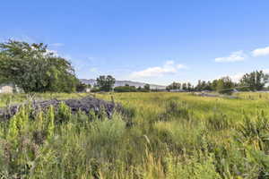 View of local wilderness featuring rural landscape and a mountain backdrop