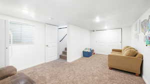 Basement Family room/bedroom