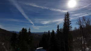 View of mountain background featuring a forest