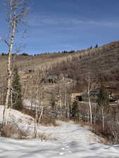 View of mountain background