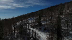 View of tree filled area