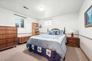 Bedroom with multiple windows and carpet