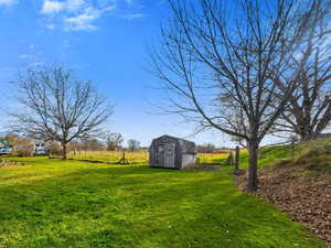 View of green lawn with a storage unit