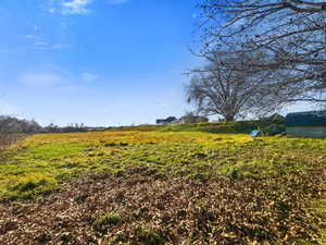 View of yard with a view of rural / pastoral area