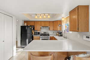 Kitchen with light countertops, stainless steel appliances, a peninsula, and a tray ceiling