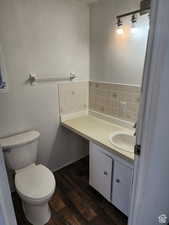 Bathroom with vanity, dark wood-type flooring, and decorative backsplash